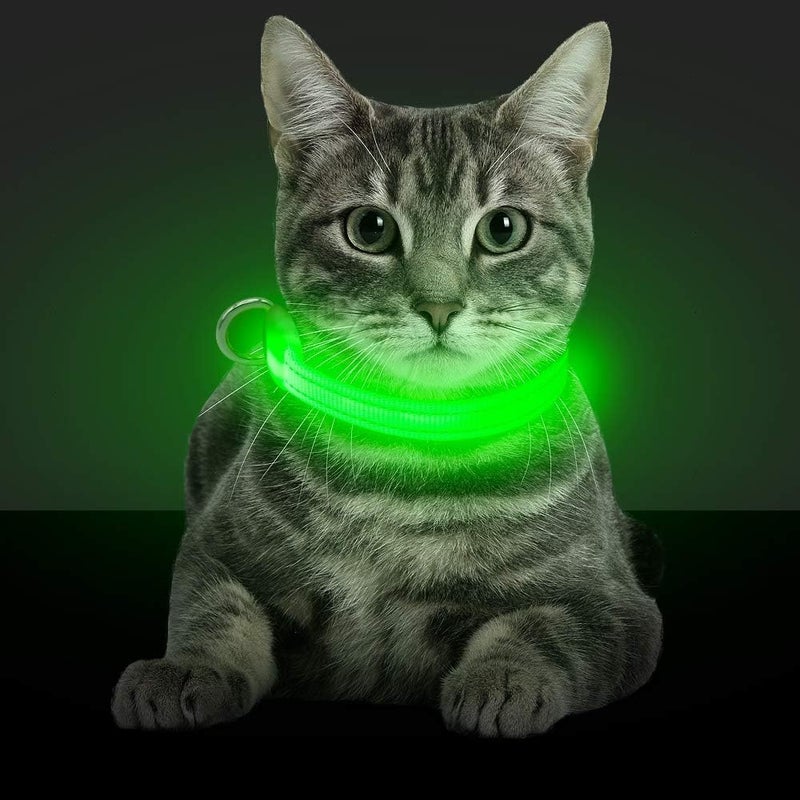 BSEEN Light Up Dog Collars - Glowing LED Dog Collar Rechargeable Puppy Collar for Small Dogs & Cats, Safety Dog Lights for Night Walking (Green) - Image 1